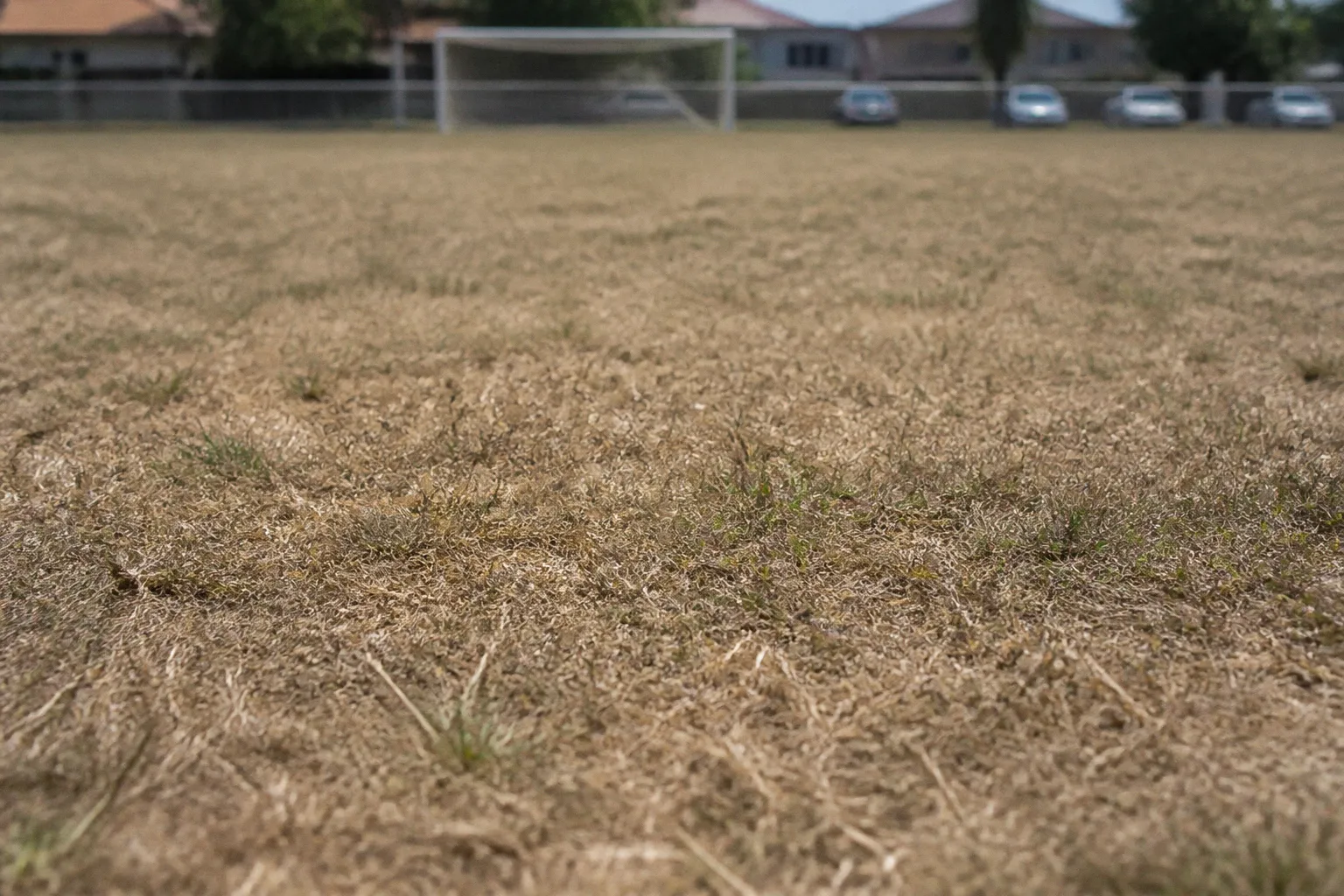 Canicule en Haute-Garonne : l'état critique des terrains de football amateur