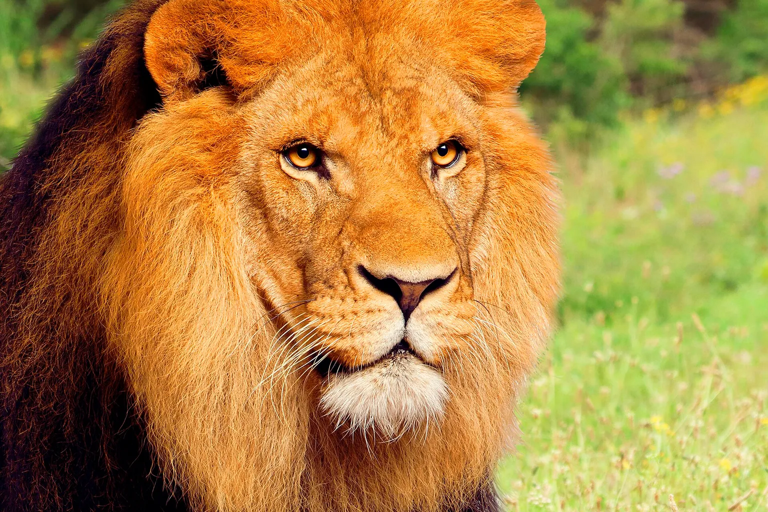 Terra Natura Murcia : horaires et organisation de la visite