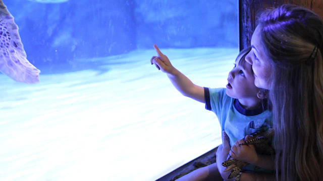 Aquarium SEA LIFE de Grapevine