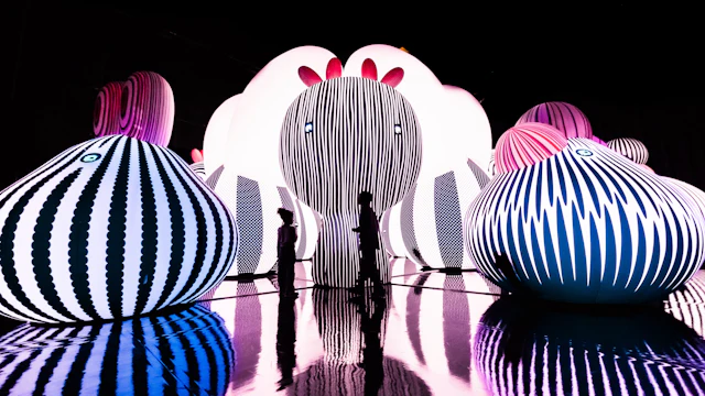 Balloon Museum